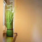 Apartmán Kolo Brzegu Gąski