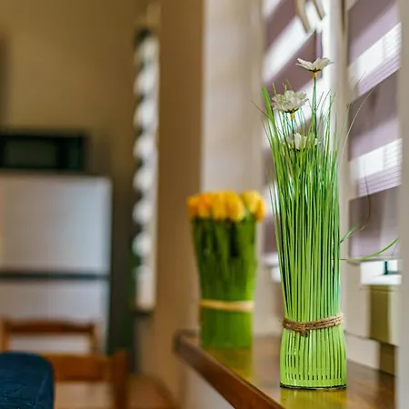 Kolo Brzegu Apartment Gaski (Koszalin)