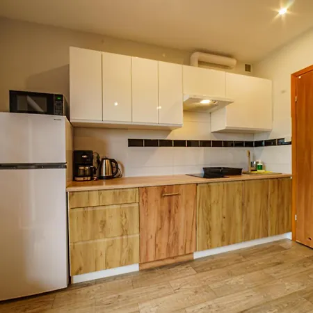 Apartment Kolo Brzegu